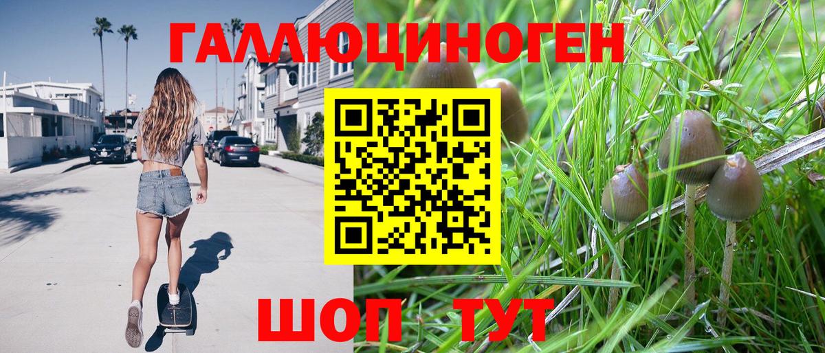 Галлюциногенные грибы MAGIC MUSHROOMS  Псилоцибиновые грибы Cubensis  Янаул  Вход с VPN 